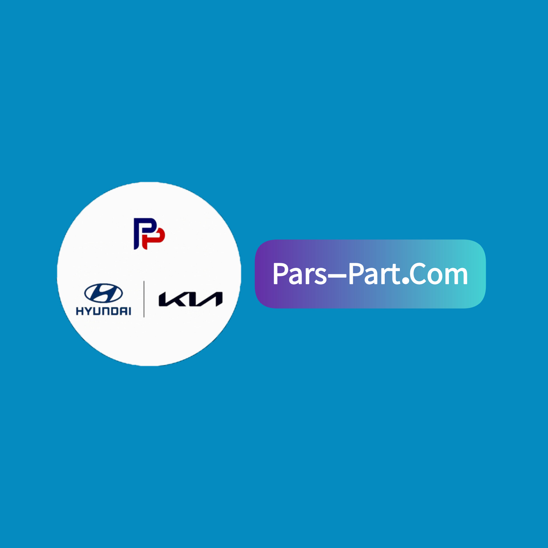 ۲۳۰۴۱-۳C123 | پیستون استاندارد پرسی